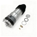 Perna de aer Spate Tesla Model S (2011-2015)